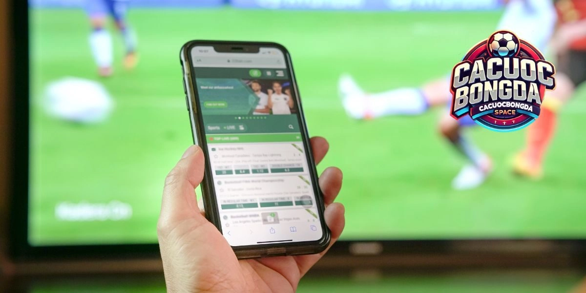 Banner Cá Cược Bóng Đá