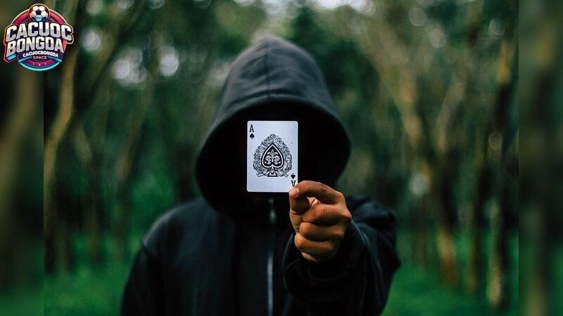 Chiến Lược Tâm Lý Trong Cá Cược