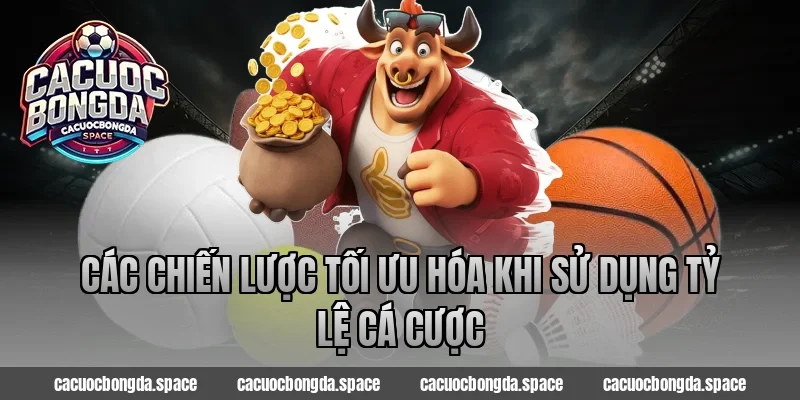 Các Chiến Lược Tối Ưu Hóa Khi Sử Dụng Tỷ Lệ Cá Cược