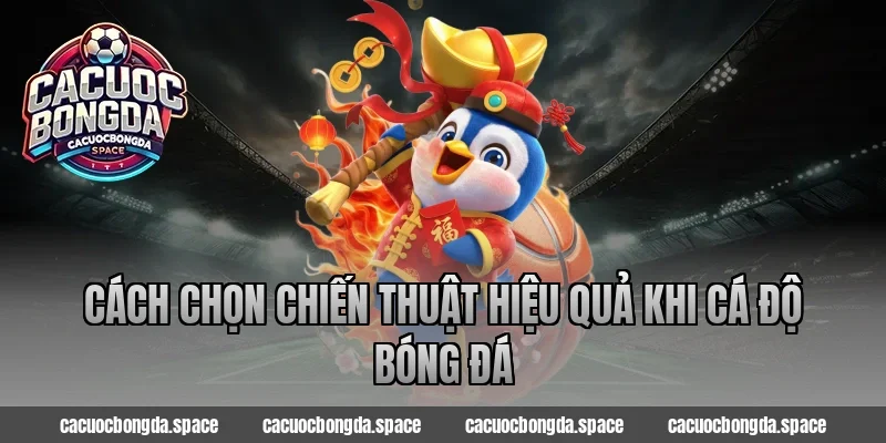 Cách Chọn Chiến Thuật Hiệu Quả khi Cá Độ Bóng Đá