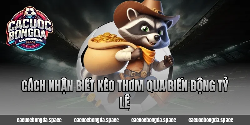 Cách nhận biết kèo thơm qua biến động tỷ lệ