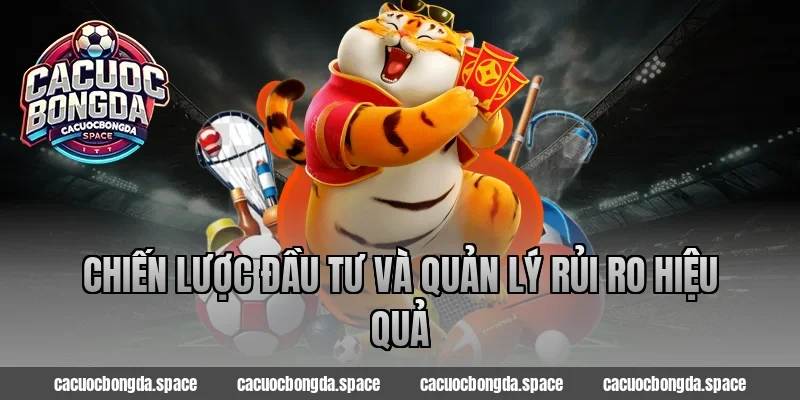 Chiến lược đầu tư và quản lý rủi ro hiệu quả