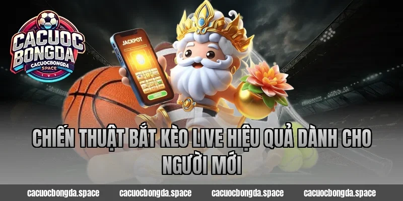 Chiến thuật bắt kèo live hiệu quả dành cho người mới