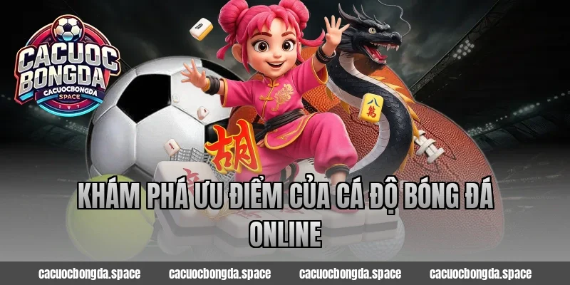 Khám Phá Ưu Điểm Của Cá Độ Bóng Đá Online