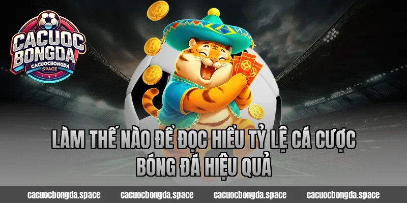 Làm thế nào để đọc hiểu tỷ lệ cá cược bóng đá hiệu quả