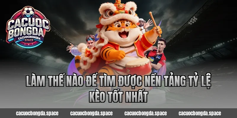 Làm Thế Nào Để Tìm Được Nền Tảng Tỷ Lệ Kèo Tốt Nhất