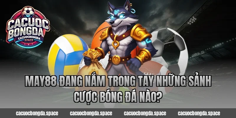 May88 đang nắm trong tay những sảnh cược bóng đá nào?