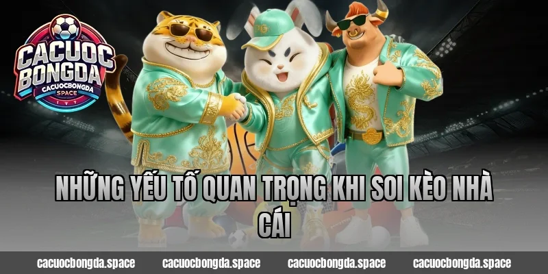 Những Yếu Tố Quan Trọng Khi Soi kèo nhà cái