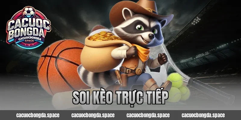 Soi Kèo Trực Tiếp – Cập Nhật Nhanh, Không Bỏ Lỡ Kèo Ngon