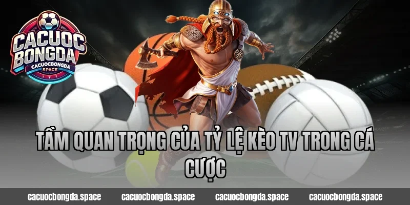 Tầm quan trọng của Tỷ Lệ Kèo TV trong cá cược