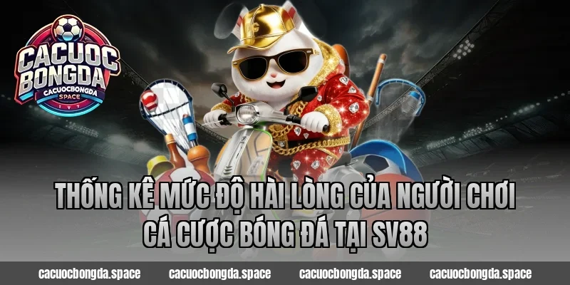 Thống kê mức độ hài lòng của người chơi cá cược bóng đá tại SV88