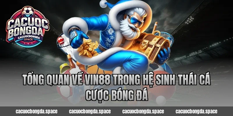 Tổng quan về Vin88 trong hệ sinh thái cá cược bóng đá