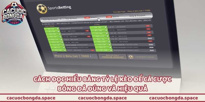 Cách đọc hiểu bảng tỷ lệ kèo để cá cược bóng đá đúng và hiệu quả