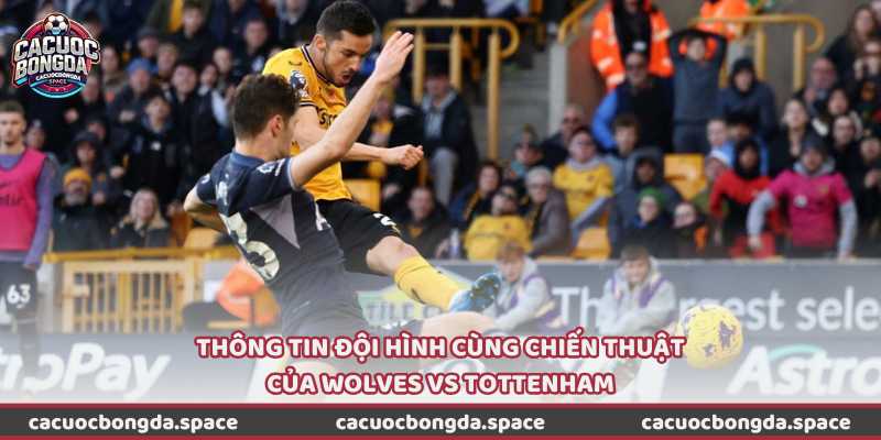 Thông tin đội hình cùng chiến thuật của Wolves vs Tottenham